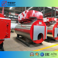 WNS Oil/gas Steam Boiler