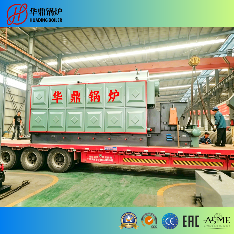 Biomass Boiler Introduction & DZL Series Biomass Chain Grate Steam Boiler