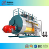 WNS Oil/gas Steam Boiler