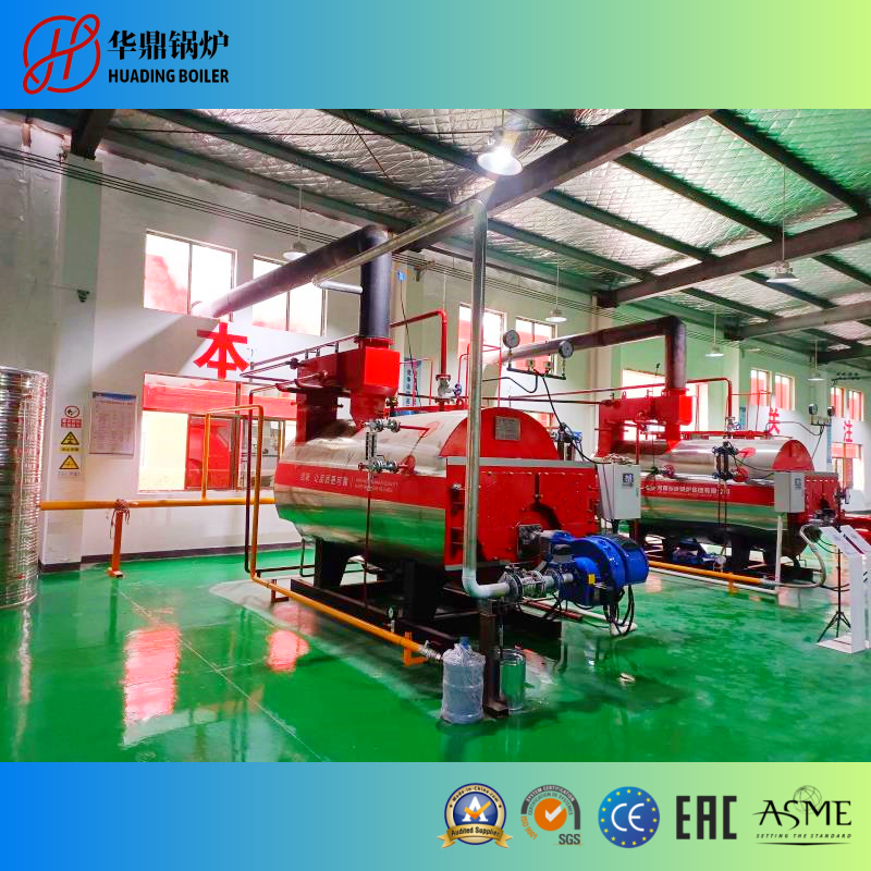 CWNS Horizontal Fuel/Gas Fired Atmospheric Hot Water Boiler