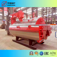 WNS oil/gas steam boiler